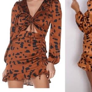 Leopard Print Dress